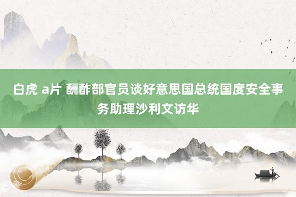 白虎 a片 酬酢部官员谈好意思国总统国度安全事务助理沙利文访华