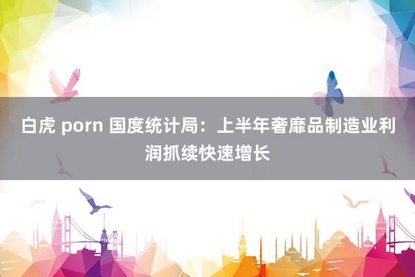 白虎 porn 国度统计局：上半年奢靡品制造业利润抓续快速增长