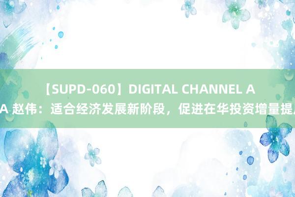 【SUPD-060】DIGITAL CHANNEL AYA 赵伟：适合经济发展新阶段，促进在华投资增量提质