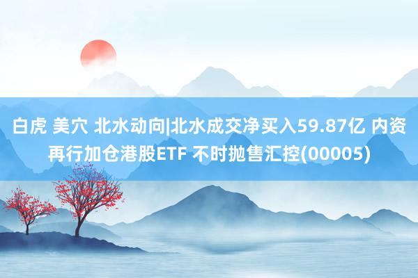 白虎 美穴 北水动向|北水成交净买入59.87亿 内资再行加仓港股ETF 不时抛售汇控(00005)