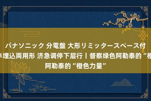 パナソニック 分電盤 大形リミッタースペース付 露出・半埋込両用形 济急调停下层行丨督察绿色阿勒泰的“橙色力量”