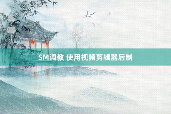 SM调教 使用视频剪辑器后制