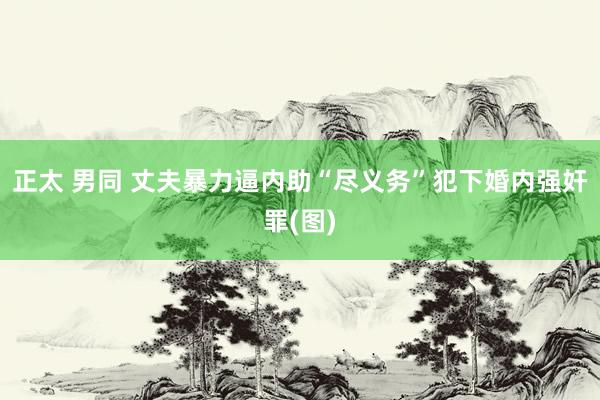 正太 男同 丈夫暴力逼内助“尽义务”犯下婚内强奸罪(图)